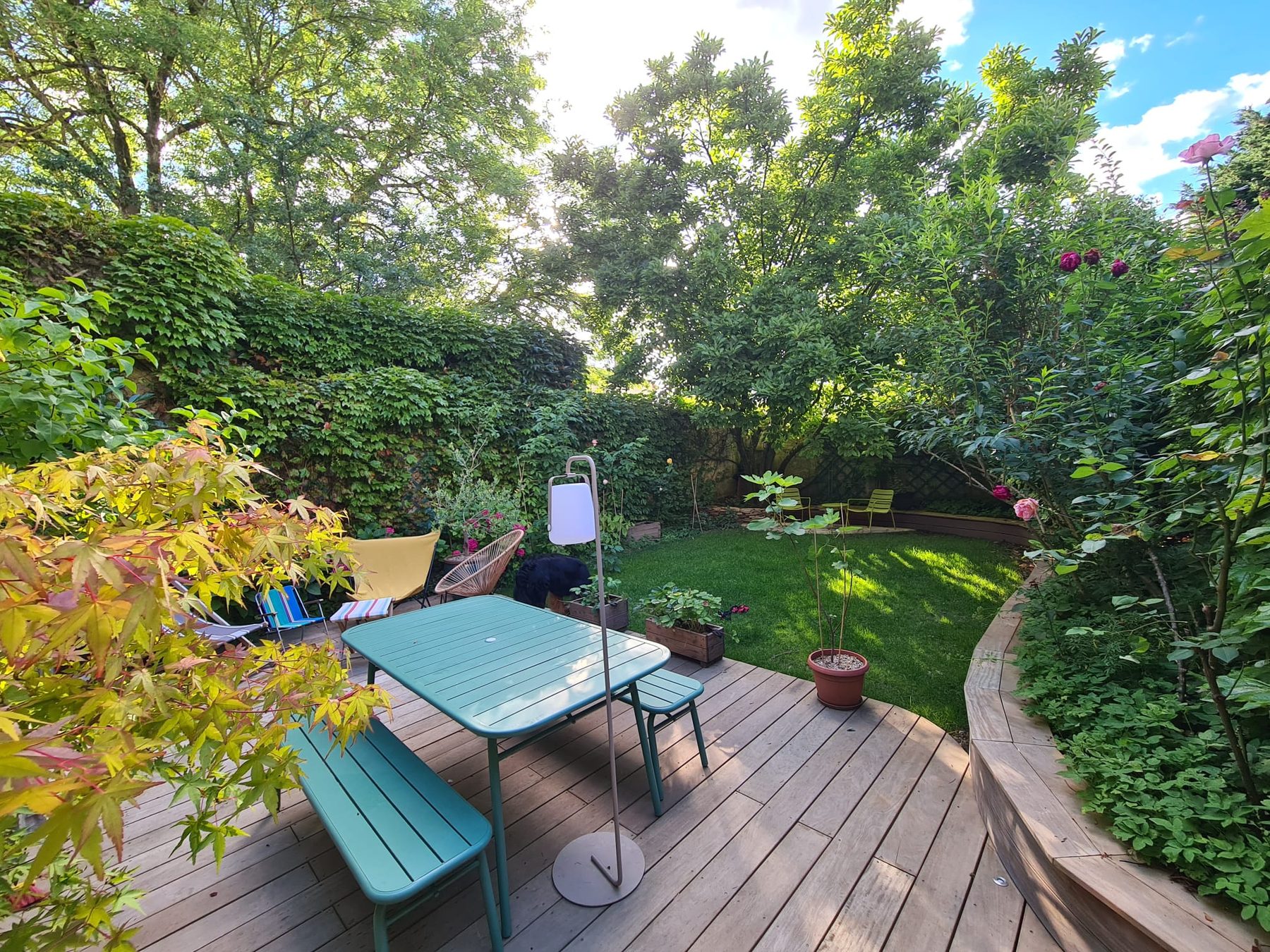 Jardin créé par Sens Paysage : terrasse en bois, table, érable du Japon et pelouse
